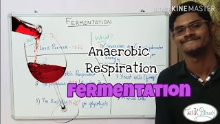 Fermentation  Anaerobic Respiration  Tamil  ThiNK BIOLOGY  tnkumaresan  ThiNK VISION [upl. by Shoifet]