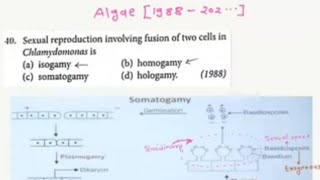 NEET PYQ ALGAE Q1 1988 [upl. by Crooks]