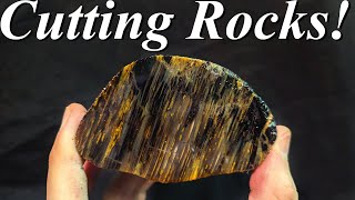 Beautiful Surprises Cutting a Pile of Montana Agate Petrified Wood and Jaspers [upl. by Catlin]