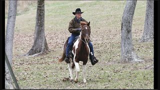 A Confident Roy Moore Rides to Vote on Horseback [upl. by Lewanna]