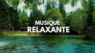 Relaxation Musique Douce et sons de la nature Détendezvous  la Guitare et le Piano [upl. by Ainavi]