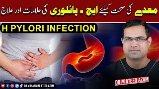 H Pylori infection  Peptic ulcer treatment [upl. by Yeslehc]