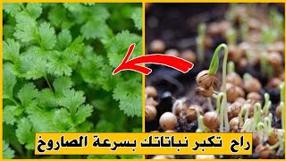 أقوى سماد طبيعي راح تكبر نباتاتك بسرعة الصاروخ سر الزراعة يخفوه عنك [upl. by Seessel]