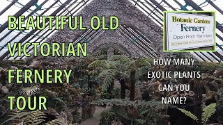 Beautiful Old Botanic Garden Fernery Victorian Glasshouse Southport England [upl. by Daphie]