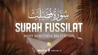 Surah Fussilat Ha Mim AsSajdah  Heart touching Quran سورة فصلت  Zikrullah TV [upl. by Livi758]