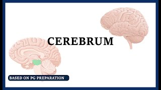 Anatomy of cerebrum [upl. by Barbaraanne508]