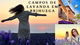 CONHEÇA BRIHUEGA  Os maiores campos de lavanda da Espanha [upl. by Ibrab]