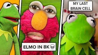 Tik Tok Memes Kermit The Frog Showed Me [upl. by Lerraj]