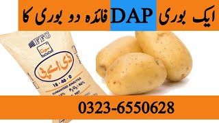 How to increase efficiency of DAP fertilizer in potato crop  Benefits of Sulfur bentonite [upl. by Guildroy75]