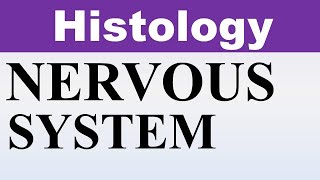 Inderbir Singh Histology Chp10  Histology of NERVOUS SYSTEM  Dr Asif Lectures [upl. by Conney146]