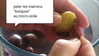 Comment peler les marrons quotvalable pour les CHÂTAIGNESquot au microondesenlever les 2 peaux dun coup [upl. by Kcirret183]