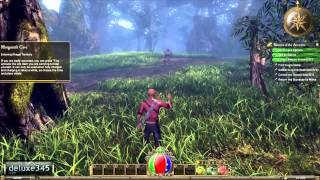 Legends of Aethereus Gameplay PC HD [upl. by Nevak]