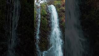 La vallée de chaudefour auvergne sancy auvergnerhonealpes [upl. by Molahs]