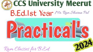 BEd1st Year Practicals 2024 CCSU RamSharanPal bedupdate bedpracticals [upl. by Ardnek650]