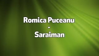 Romica Puceanu  Saraiman versuri lyrics karaoke [upl. by Enier539]