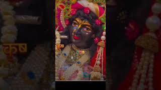 🌹 Radhe Radhe Japa Karo Krishna Naam Ras Piya Karo shorts 🌹viral video🌹🙏🏻🙏🏻 [upl. by Nida573]