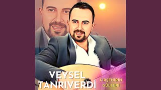 Tükenmez Davayı Banamı Verdin [upl. by Yarg]