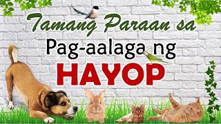 TAMANG PARAAN SA PAGAALAGA NG HAYOP [upl. by Eniaral]