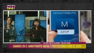 Cambios en el monotributo social y proyecciones para el 2025 [upl. by Man802]