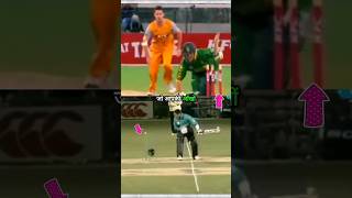 Top 2 Worst Hit Wicket in Cricket [upl. by Carola]