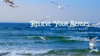 The Sound of Ocean Waves with Sea Gulls Relaxing Sleep Sounds [upl. by Aihtekal]