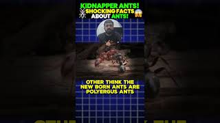 KIDNAPPER ANTS🐜 😱Shocking Facts About ANTS🐜 neet ants neetxbyvedantu venkysir [upl. by Boaten180]