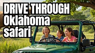 Wildlife Adventure Driving Through Oklahoma Safari [upl. by Anilag2]