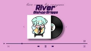 Bishop Briggs  River Live Cover [upl. by Bocock]