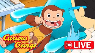 George learns about quints 🐵 Curious George 🐵 Kids Cartoon 🐵 Kids Movies [upl. by Tallbott]