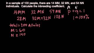 How to calculate the inbreeding coefficient [upl. by Ylen]