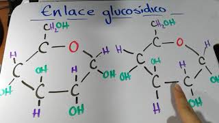 Enlace glucosídico [upl. by Jarlen]