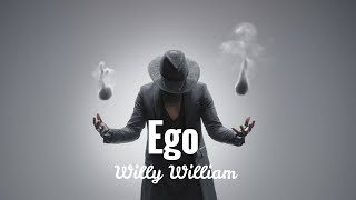 Willy William Ego lyrics English and French [upl. by Toolis606]