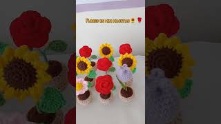 Flores en mini macetas 🌻🌹🌸🌷🥰 pedidos al 📲 7️⃣2️⃣8️⃣8️⃣0️⃣2️⃣0️⃣9️⃣ 📍 SucreBolivia 🇧🇴 crochet [upl. by Annairba]