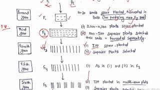 UnitII Lecture 12 Difference between Feature Extraction and Feature Selection Hindi [upl. by Eillit]