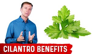 What is Cilantro Good For [upl. by Joub]