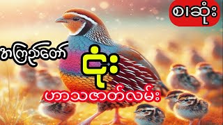 အကြည်တော်ဟာသစာအုပ်  ငုံး စဆုံး [upl. by Chao]