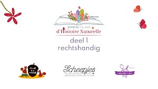 D’Histoire Naturelle  Deel 1 RECHTSHANDIG  Scheepjes CAL 2020 [upl. by Aikenat]