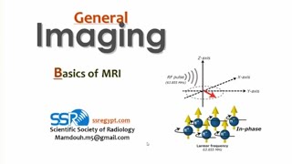 MRI Basics PT Prof Mamdouh Mahfouz [upl. by Salomone]