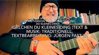 Igelchen du kleines Ding Text amp Musik trad Textbearbeitung Jürgen Fasje hier von Jürgen Fastje [upl. by Britni]