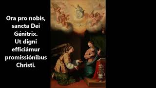 Aprende a rezar El Ángelus en Latín no se olvide compartir Audio Angelus [upl. by Zetrok94]