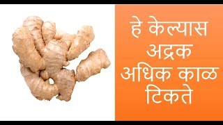 how to store ginger for long time  ginger storage methods  by sharmila zingade [upl. by Ajiram852]