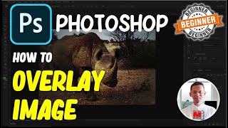 Photoshop How To Overlay Images [upl. by Eimam]