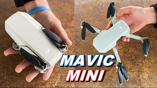 DJI Mavic MINI Review amp Flight TEST  Is It REALLY WORTH IT  TheRcSaylors [upl. by Eissac]