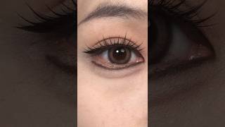 New Way Of Applying Eye Lashes Extensions shorts eyelashes [upl. by Ahsaetal]