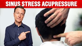 How to Get Rid of Sinus Congestion – Acupressure for Sinus – Dr Berg [upl. by Jenny]