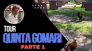 49 Tour por Quinta Gomari Parte 1 [upl. by Ailaro]