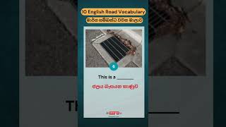 මාර්ග සම්බන්ධ වචන 🛣️🔄  10 Essential English Road Vocabulary with Sinhala Meanings shorts [upl. by Aidahs397]