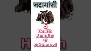 Jatamansi benefits hair skincare herbs healthconscious almond winter science ayurveda [upl. by Stafford]