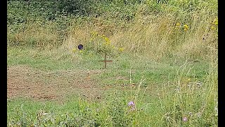 KOFS 410 clay pigeon shooting at Colerne Clay Club 4th August 2024 [upl. by Cates289]