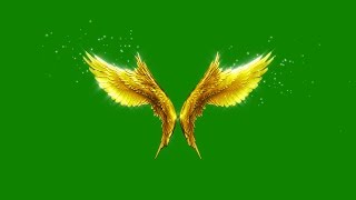 Green Screen Angels Flapping Gold Wings Particles  Footage PixelBoom [upl. by Nivloc668]